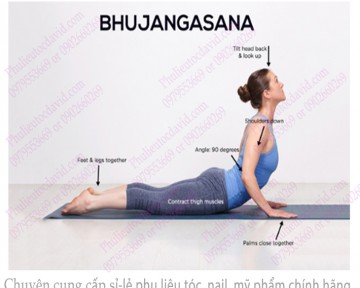 Các bài tập yoga đơn giản giúp tiêu mỡ bụng