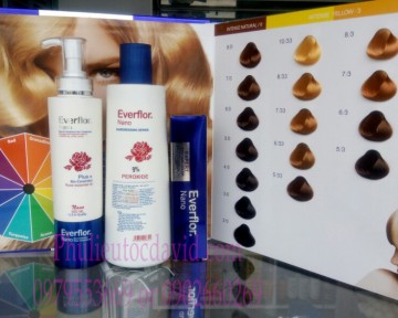 Bảng màu thuốc nhuộm Collagen Everflor Nano 54 màu