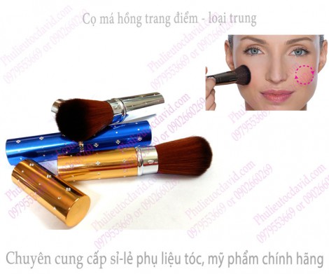 Cọ má hồng trang điểm