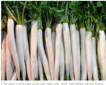 Công dụng cực kỳ hay của củ cải trắng trong việc chữa bệnh
