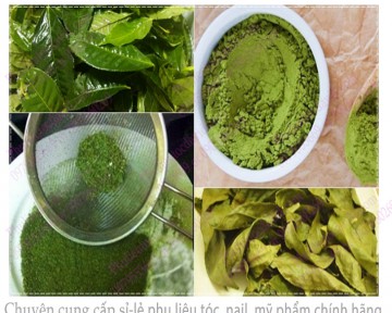 Hướng dẫn cách làm bột trà xanh nguyên chất tại nhà