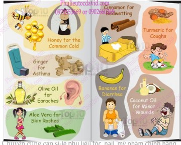 Những loại thảo mộc trị bệnh vào mùa lạnh cho trẻ em